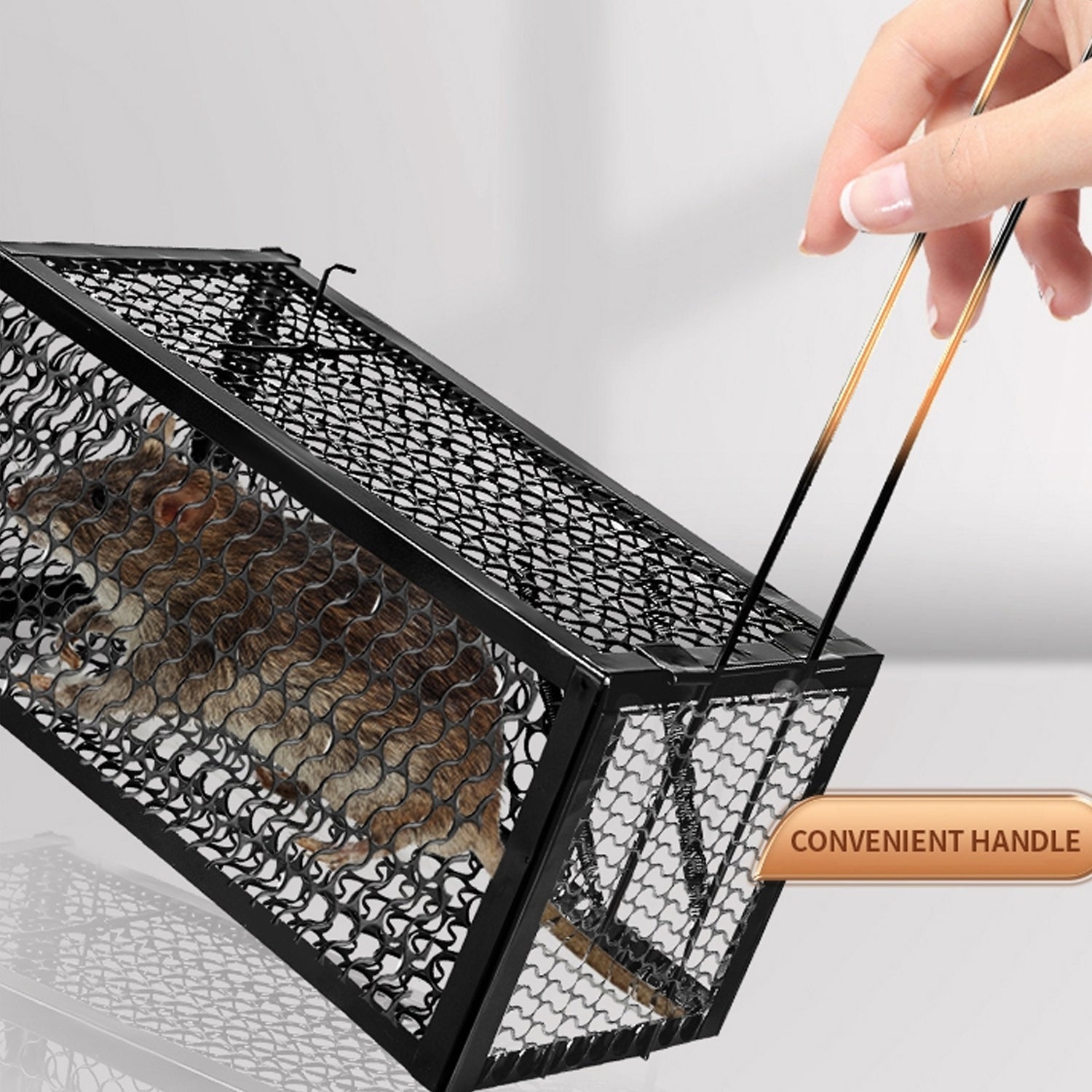 Live catch cage for mice and squirrels. Live catch cage for mice and squirrels.